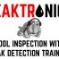 Pool Inspection and Leak Detection Online Training and Certification Course