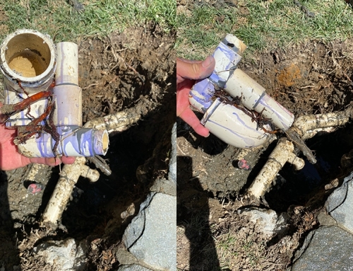 Root Damage Repair On Spa Lines